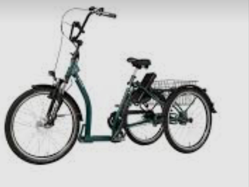 Pfautec Ally Shoppingbike